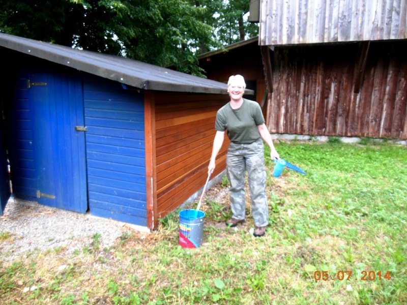 tl_files/01 Baden-Wuerttemberg/pictures/Auffangstation/Arbeitseinsaetze/Arbeitseinsaetze 2014/Juli 2014/Bild 16 Dagmar nahm sich der Farbe an.JPG